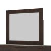 Modern & Contemporary Dresser Mirror Rich Brown