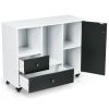 Lateral Mobile Filing Cabinet with 2 Drawers